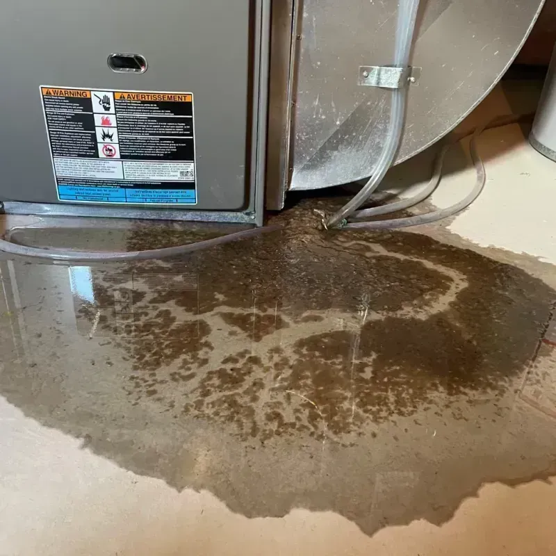 Appliance Leak Cleanup in Bath County, VA